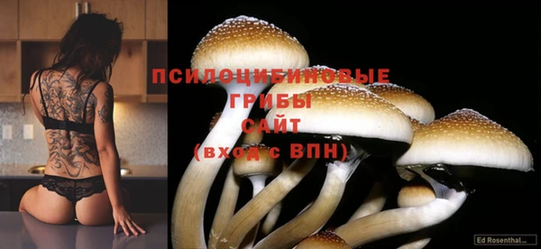 каннабис Армянск