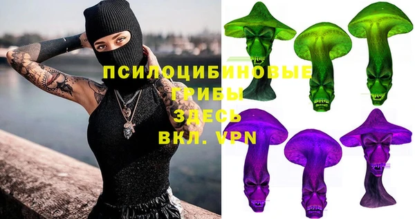 спиды Аркадак