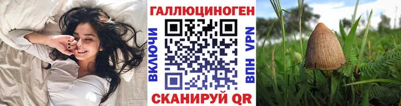 Галлюциногенные грибы Psilocybe  наркошоп  Волхов 