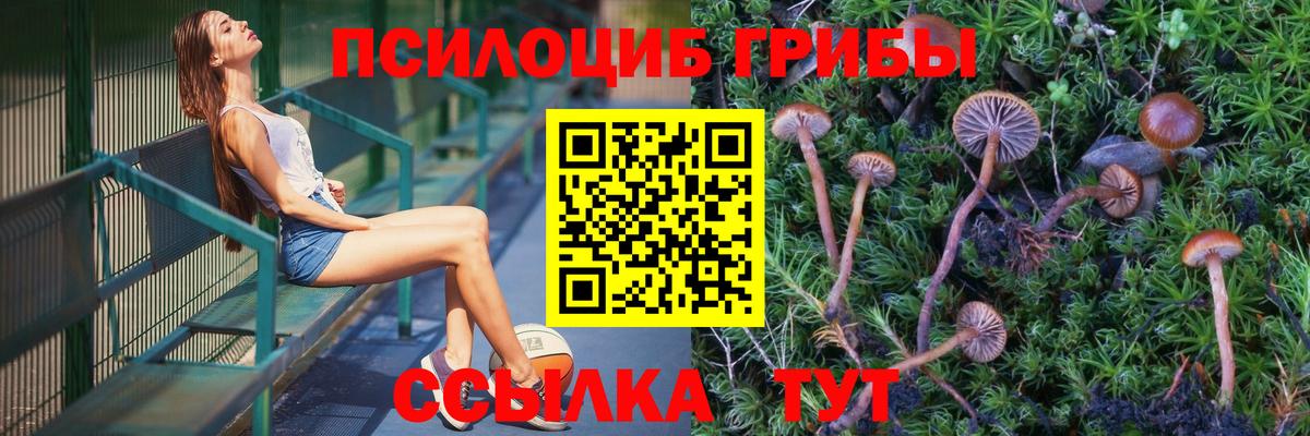 COCAIN Волхов